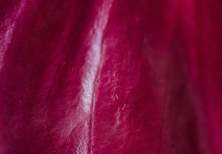 The Truth About Perimenopause, Libido, and Sexual Confidence: And What Actually Helps