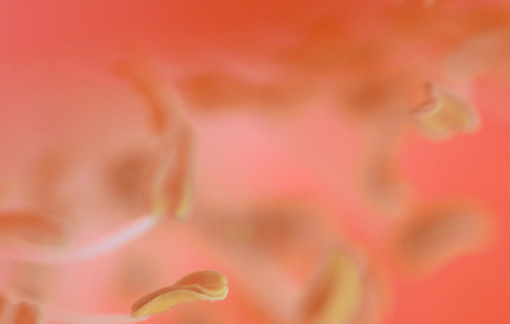 Ehlers-Danlos Syndromes and Heavy, Painful Periods